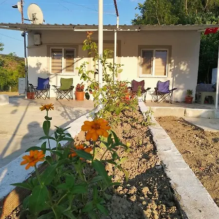Holiday home Alibaba Near Airport And Beach