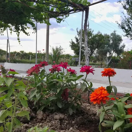 Alibaba Near Airport And Beach Holiday home Dalaman